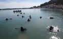 Υδροναύτες Ηλείας: Υποβρύχιος καθαρισμός στο λιμάνι του Κατακόλου - Φωτογραφία 3