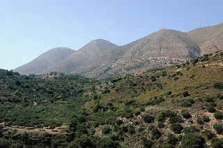 Δηλητήριο απειλεί το οικοσύστημα των ορεινών όγκων της Κρήτης - Φωτογραφία 1