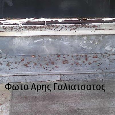 Νέο σοκ στην Πάτρα: Ζευγάρι ζούσε σε σπίτι γεμάτο κατσαρίδες - Τους έβγαλαν με το ζόρι οι γείτονες - Δείτε φωτό - Φωτογραφία 2
