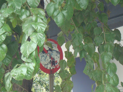 Πινακίδες κρύβονται πίσω από δέντρα στην Αλεξανδρούπολη! - Φωτογραφία 3
