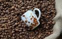 Ο αραβικός καφές απειλείται σοβαρά από την κλιματική αλλαγή