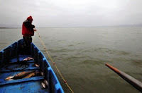 Απαγόρευση αλιείας για ένα έτος σε Νέστο και Αγγίτη - Φωτογραφία 1