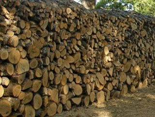 Δέκα τόνοι λαθραίων ξύλων κατασχέθηκαν στη Βόρεια Ελλάδα - Φωτογραφία 1