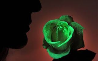 Τριαντάφυλλα φωσφορίζουν στο σκοτάδι - Φωτογραφία 1