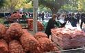 Διανομή τροφίμων σε χιλιάδες Έλληνες στην πλατεία Αττικής από την Χρυσή Αυγή...(Φωτος) - Φωτογραφία 4