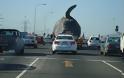 Απίστευτο θέαμα: Μεταφορά νεκρής φάλαινας στους δρόμους της πόλης!