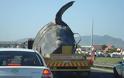Απίστευτο θέαμα: Μεταφορά νεκρής φάλαινας στους δρόμους της πόλης! - Φωτογραφία 2