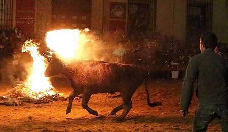 Διασκεδάζουν, βάζοντας φωτιά σε ταύρους - Φωτογραφία 2