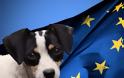 Σήμερα στην Ε.Ε. το θέμα των εθελοντών κτηνιάτρων