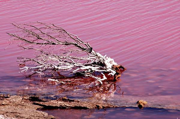 Οι ωραιότερες «κόκκινες» λίμνες του πλανήτη! - Φωτογραφία 13