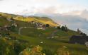 Λωζάνη: ελβετική γραφικότητα και ομορφιά στις όχθες της λίμνης της Γενεύης - Φωτογραφία 4