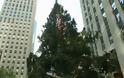 Στήθηκε το χριστουγεννιάτικο δέντρο της Νέας Υόρκης [video]