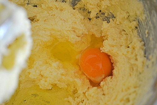 Ινδοκάρυδο - Φωτογραφία 4