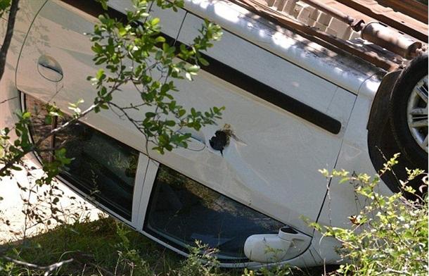 Ελέφαντας τα έβαλε με τουρίστες - Φωτογραφία 8