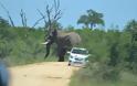 Ελέφαντας τα έβαλε με τουρίστες - Φωτογραφία 6