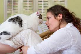 Τοξόπλασμα: Η νόσος που υπάρχει χάρη στις γάτες - Φωτογραφία 1