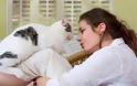 Τοξόπλασμα: Η νόσος που υπάρχει χάρη στις γάτες