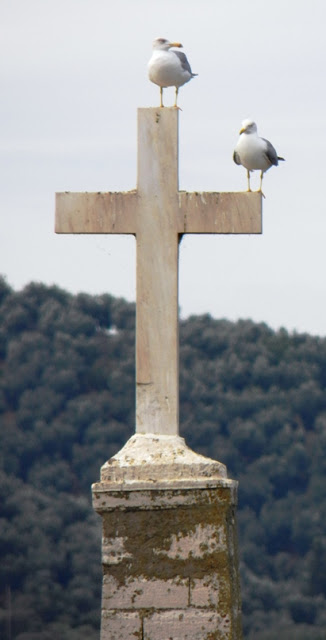 Βάνδαλοι κατεδάφισαν ένα ολόκληρο κτίριο στο Αιτωλικό! - Φωτογραφία 5