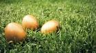 Τα χρυσά αυγά του Νεοφιλελευθερισμού ...!!! - Φωτογραφία 1