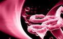 Ο θανατηφόρος αιμορραγικός ιός Έμπολα μεταδίδεται μέσω του αέρα σύμφωνα με νέα έρευνα