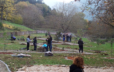 Σπάνια είδη φυτών στον Βοτανόκηπο Κεφαλοβρύσσου στο Καρπενήσι - Φωτογραφία 5