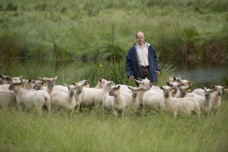 H παραχώρηση γης σε νέους αγρότες προκαλεί πρόβλημα σε κτηνοτρόφους - Φωτογραφία 1