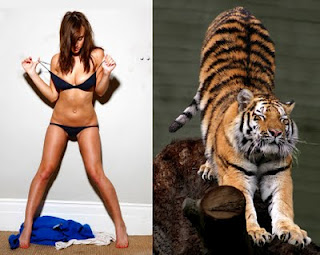 Γρίφος : Την γυναίκα ή την τίγρη ; - Φωτογραφία 1