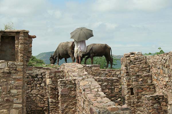 Bhangarh: Η «στοιχειωμένη» πόλη της Ινδίας! - Φωτογραφία 5