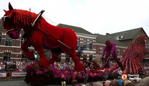 Bloemencorso: παρέλαση λουλουδιών στην Ολλανδία - Φωτογραφία 17