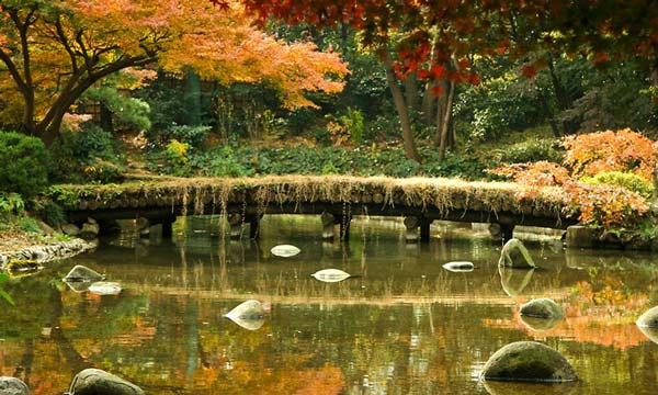 Φανταστικής ομορφιάς κήπος στην Ιαπωνία! - Φωτογραφία 8