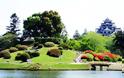 Φανταστικής ομορφιάς κήπος στην Ιαπωνία! - Φωτογραφία 7