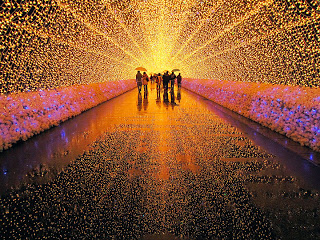 Ενας καταπληκτικός κήπος από LED στην Ιαπωνία. - Φωτογραφία 2