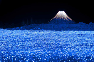 Ενας καταπληκτικός κήπος από LED στην Ιαπωνία. - Φωτογραφία 4