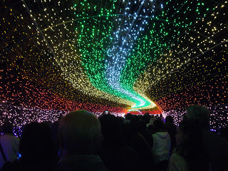Ενας καταπληκτικός κήπος από LED στην Ιαπωνία. - Φωτογραφία 5