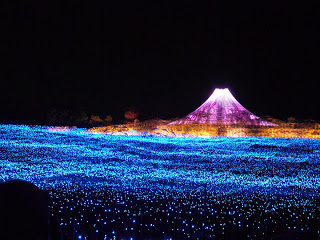 Ενας καταπληκτικός κήπος από LED στην Ιαπωνία. - Φωτογραφία 6