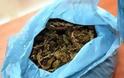 Βρέθηκαν 300 γραμμάρια χασίς σε σκουπίδια σε δρόμο των Χανίων