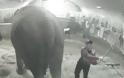 Ιδιοκτήτης και εργαζόμενοι τσίρκου κακοποιούσαν βάναυσα ελέφαντα! Δείτε το σοκαριστικό βίντεο… - Φωτογραφία 2