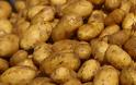 50 λεπτά η πατάτα στην Αχαΐα - 