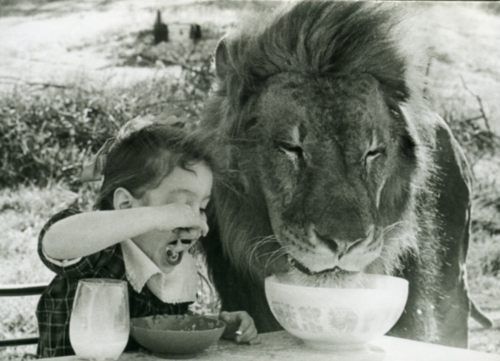 Παιδιά και άγρια ζώα - Φωτογραφία 26