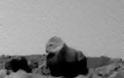 Περίεργο πρόσωπο σε βράχο ανακαλύφθηκε στην επιφάνεια του Άρη από την NASA - Φωτογραφία 2