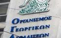 Καταγραφή συνταξιούχων ΟΓΑ ως 30 Νοεμβρίου