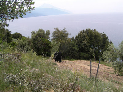 2299 - Η Ι. Καλύβη Αγίου Αθανασίου του Αθωνίτη στη Γιοβάνιτσα (φωτογραφίες) - Φωτογραφία 21