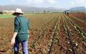Κύπρος: Για δυναμικές κινητοποιήσεις προειδοποιεί και ο αγροτικός κόσμος