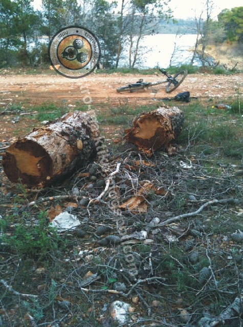 Επιστολή αναγνώστη προς ΕΥΔΑΠ - δήμαρχο Μαραθώνας - Φωτογραφία 12