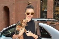 Η Miranda Kerr αγκαλιά με τον Frankie