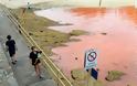 Αυστραλία: Έκλεισαν παραλίες λόγω συσσώρευσης σπάνιων κόκκινων φυκιών - Φωτογραφία 2