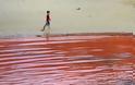 Αυστραλία: Έκλεισαν παραλίες λόγω συσσώρευσης σπάνιων κόκκινων φυκιών - Φωτογραφία 4