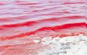 Απίστευτο: Το νερό στις παραλίες της Αυστραλίας πήρε το κόκκινο χρώμα του αίματος!