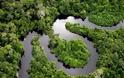 Μειώθηκε η αποψίλωση των δασών του Αμαζονίου