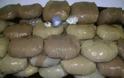 Φλώρινα: Κατασχέθηκαν 87 κιλά κάνναβης